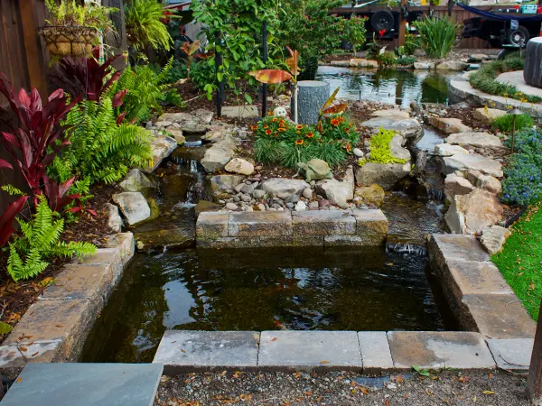 pond building image tab