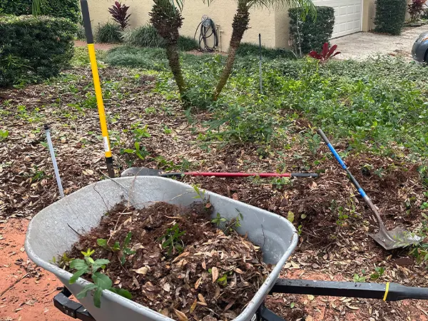 Step 2 - Landscaping based on the plan