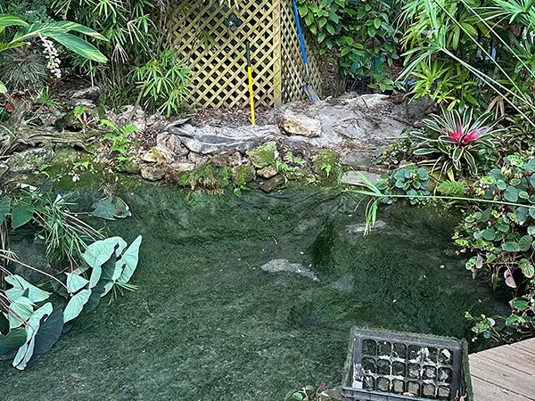 Step 2 - Repairing the pond