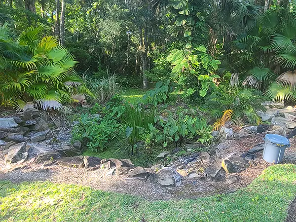 Step 2 - Cleaning up the pond