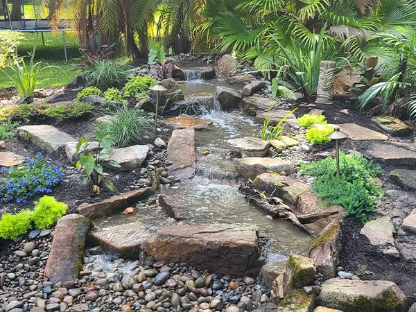 Step 3 - Enjoy the newly cleaned up pond