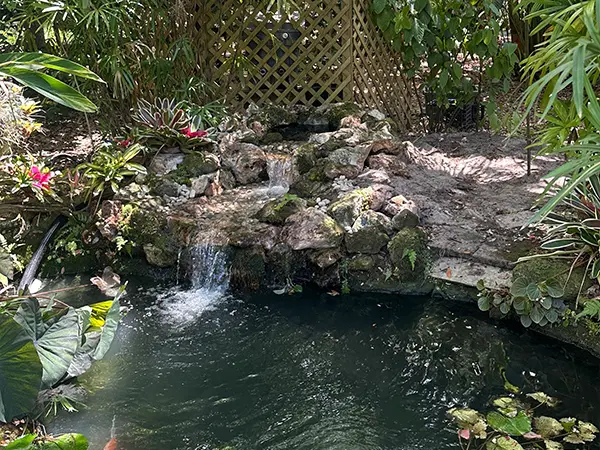 Step 3 - Enjoy the newly repaired pond