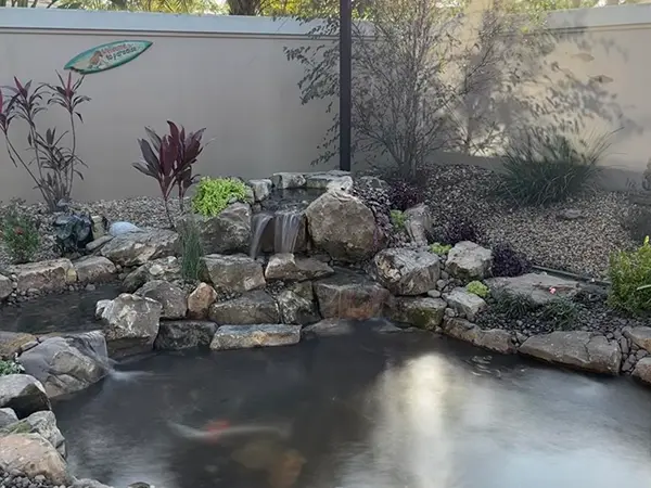 Step 3 - Enjoy the newly built pond