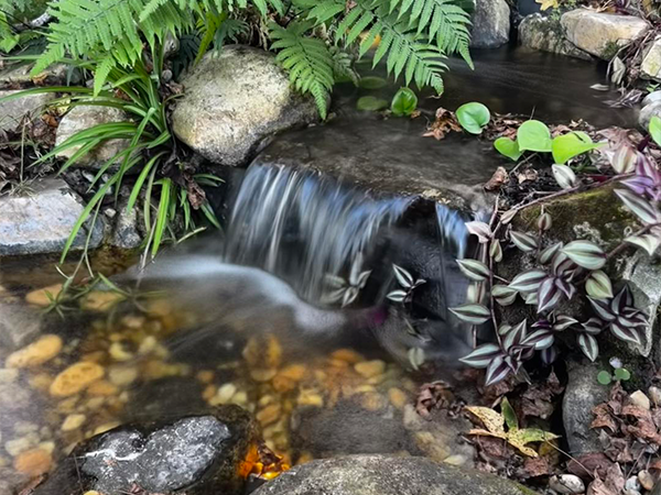 pondless waterfall image tab