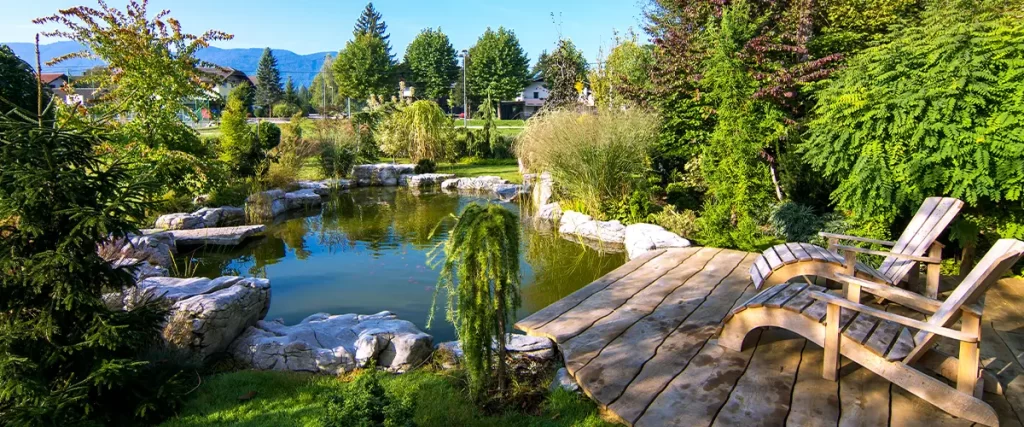 Beautiful backyard pond with lush landscaping and wooden deck seating area, perfect for outdoor relaxation and garden aesthetics.