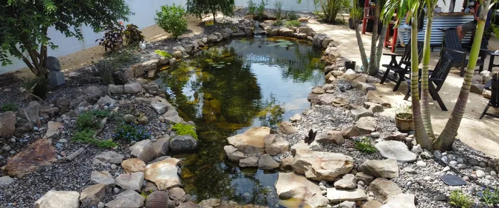 Backyard pond with natural stone edging, tropical landscaping, and white privacy fence in outdoor lounge area.