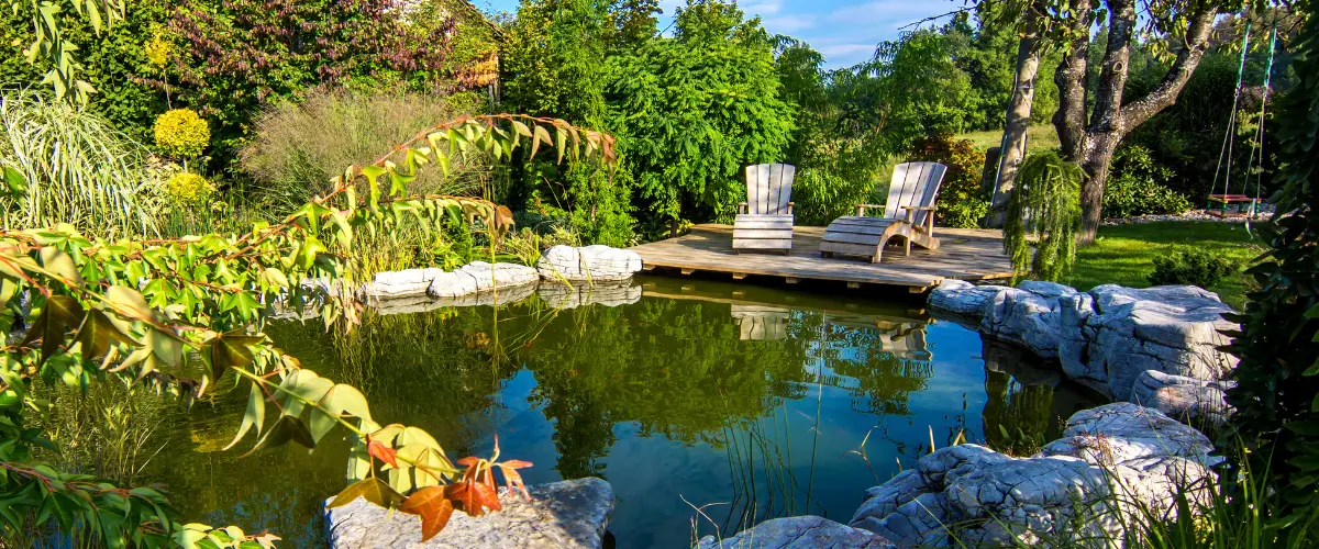 Backyard pond surrounded by greenery with two lounge chairs on a wooden deck.