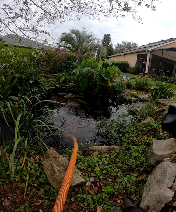Pond Cleaning in Casselberry, FL