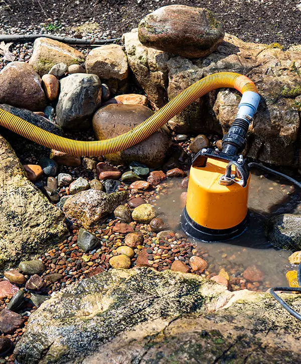 Pond Cleaning in Longwood, FL