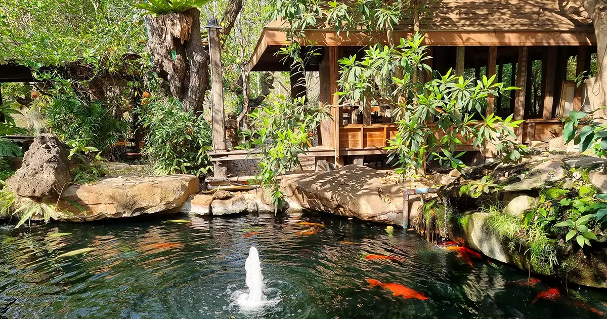 Pond Building Regulations in Florida Explained