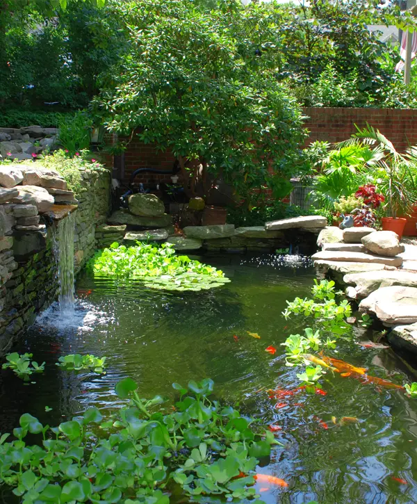 Pond Building in Deltona, FL