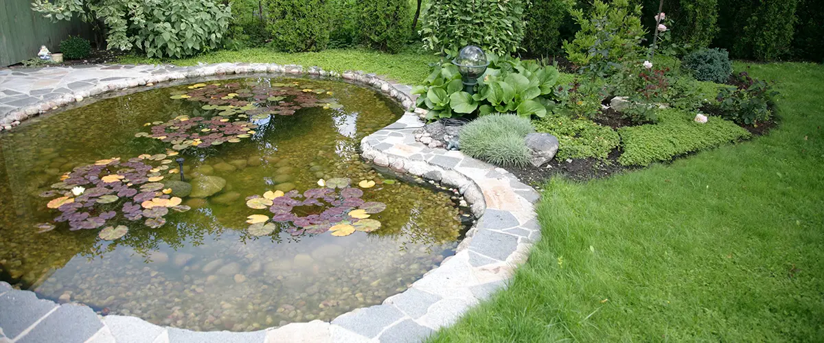 Backyard pond with stone edging and aquatic plants