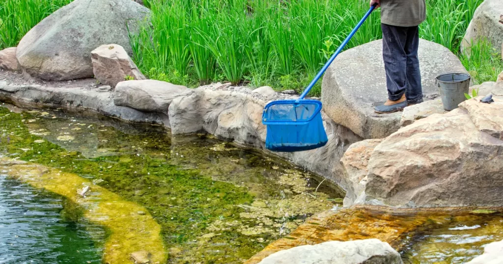 Pond Cleaning in Heathrow, FL