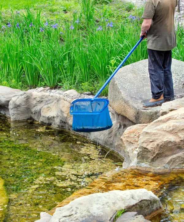 Pond Cleaning in Heathrow, FL