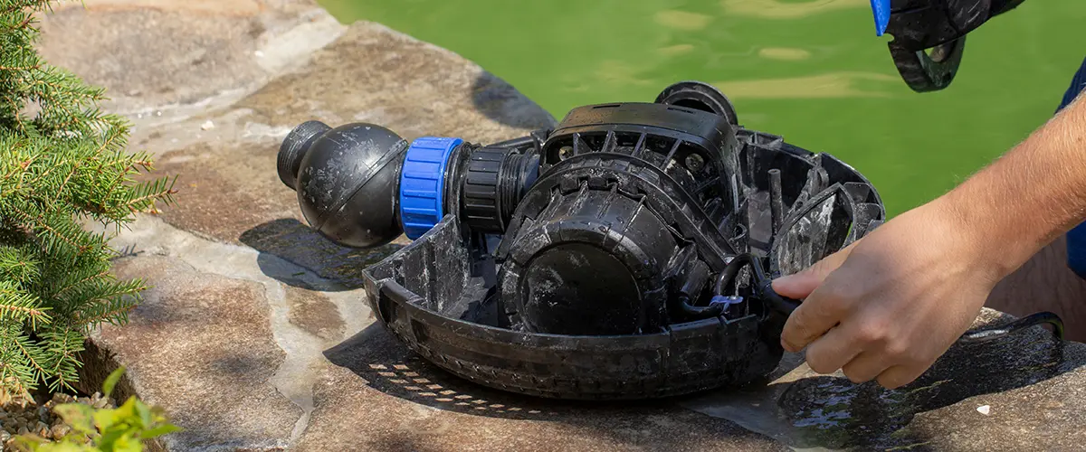 Cleaning a pond pump near the water’s edge
