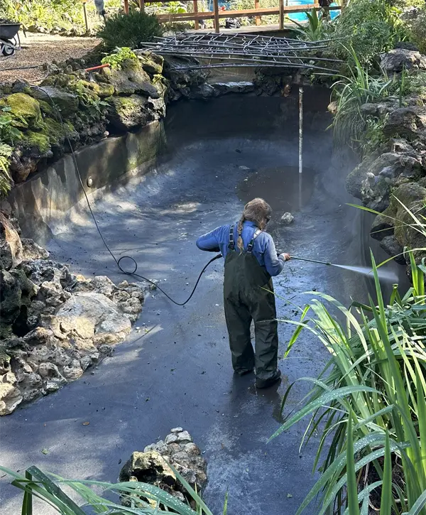 Pond Cleaning in Lake Mary, FL