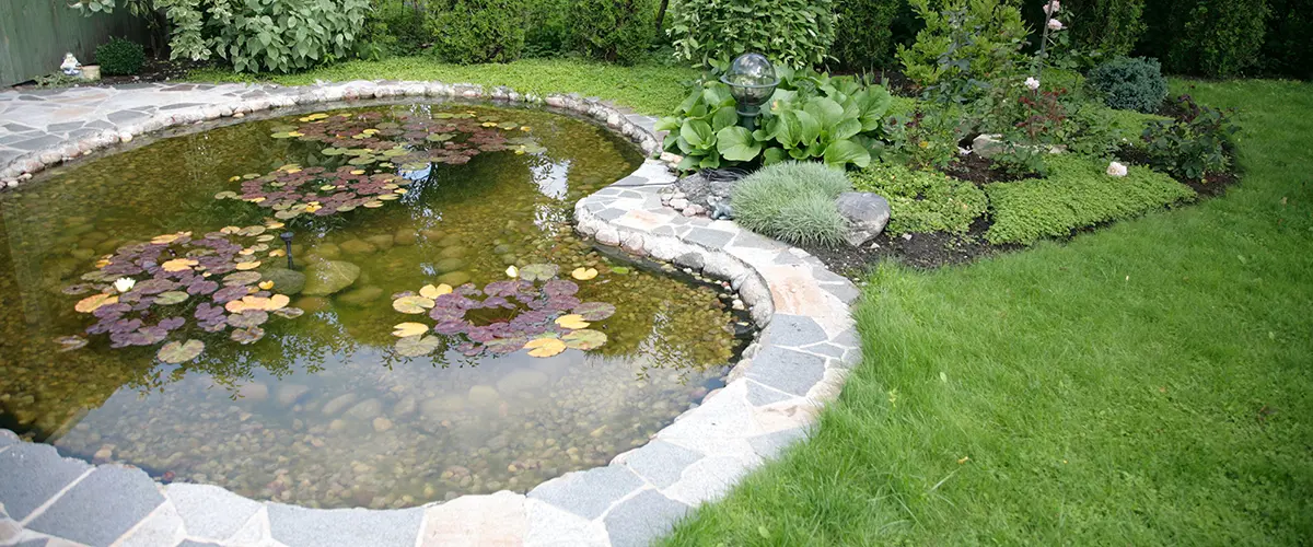 Backyard pond with stone edging and aquatic plants