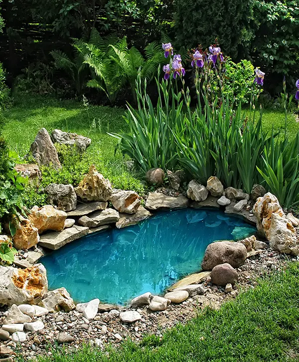 Pond Repair in Heathrow, FL