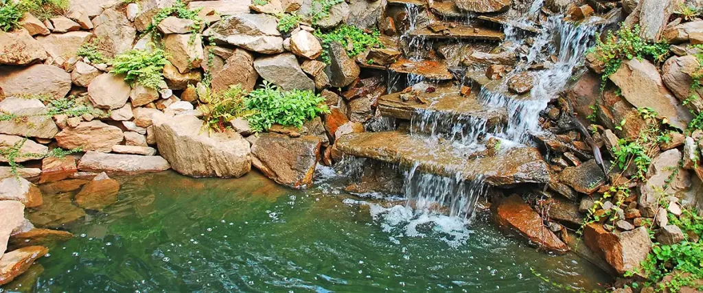 Backyard pond with stone waterfall feature