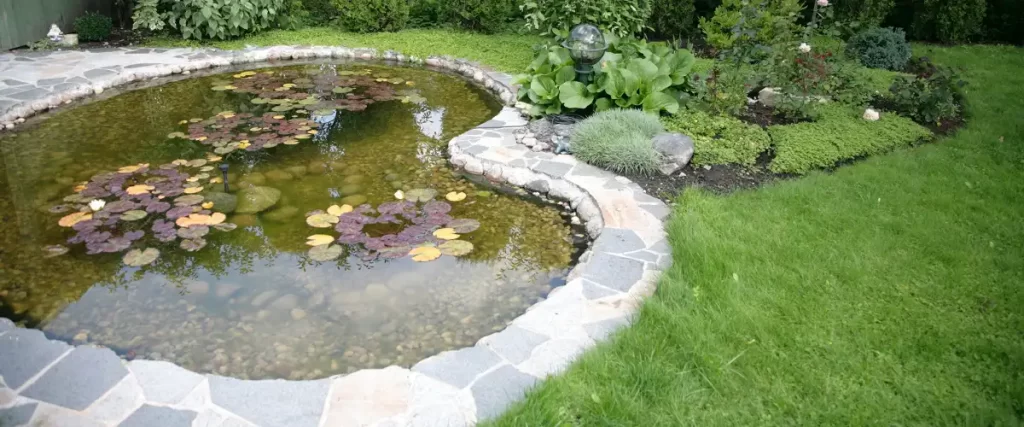 A garden pond, a water feature constructed in a designed landscape, often for aesthetic purposes or to provide a wildlife habitat