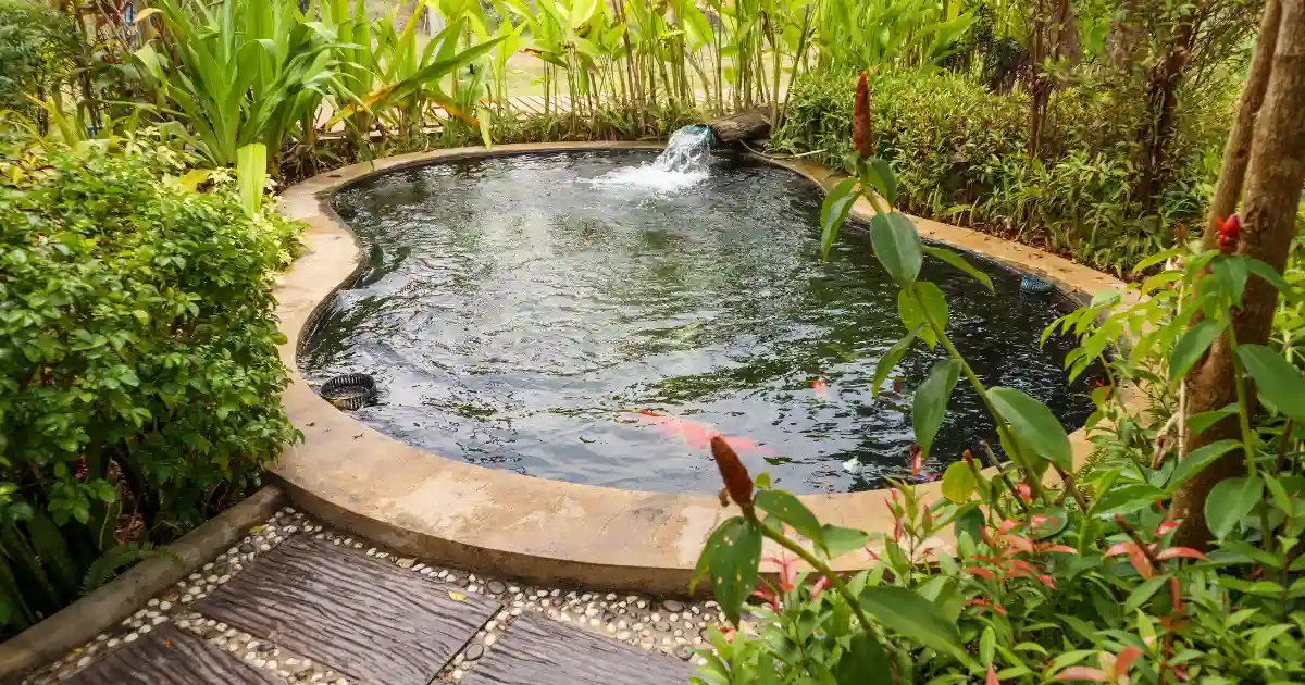 a landscaped garden feature, specifically a koi pond