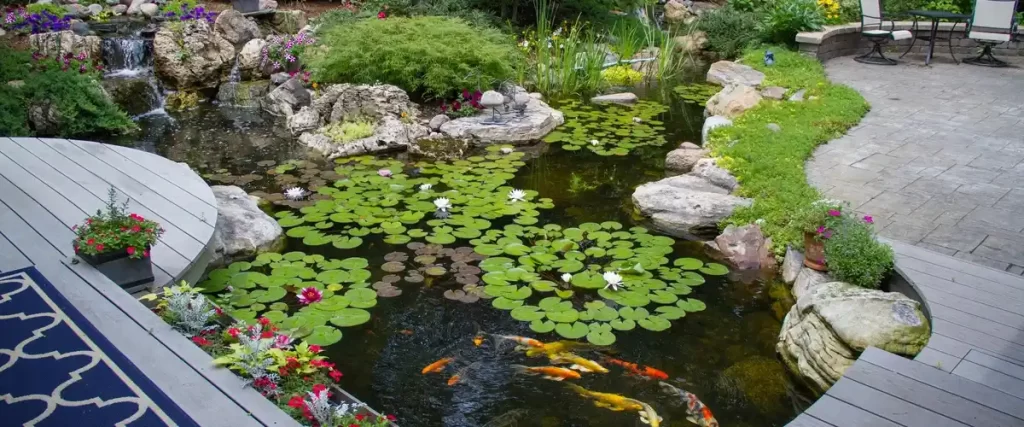 A beautifully landscaped fish pond surrounded by large light-colored rocks, small green plants, and an ornamental metal lantern, with a few golden fish visible in the clear water.