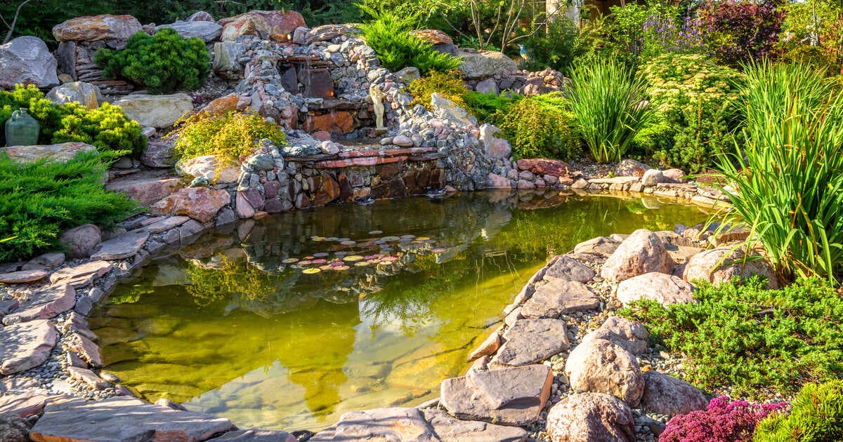 A detailed view of a professional backyard koi pond building project featuring natural stone borders and clear water.