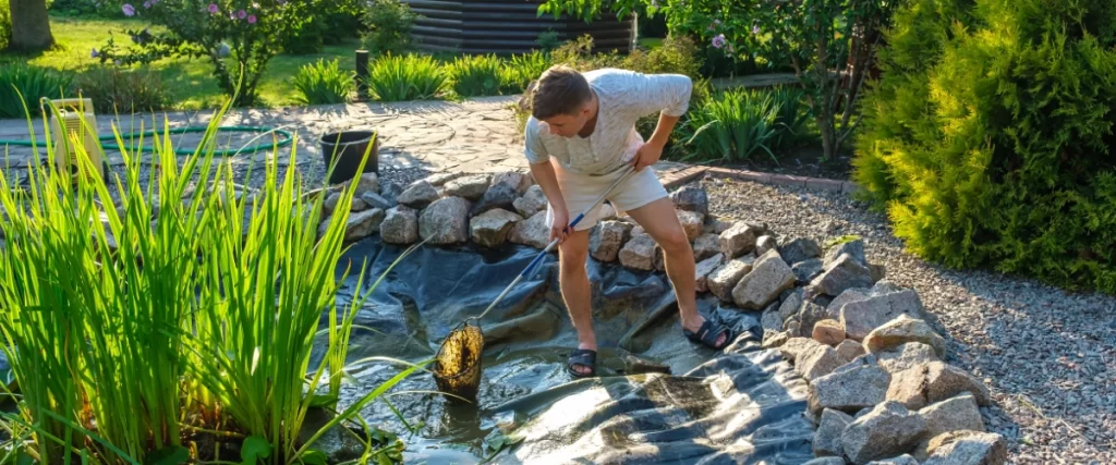 Homeowner cleaning pond with net and inspecting liner during maintenance