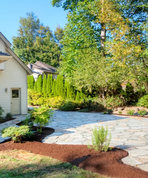 Backyard after landscape design and build