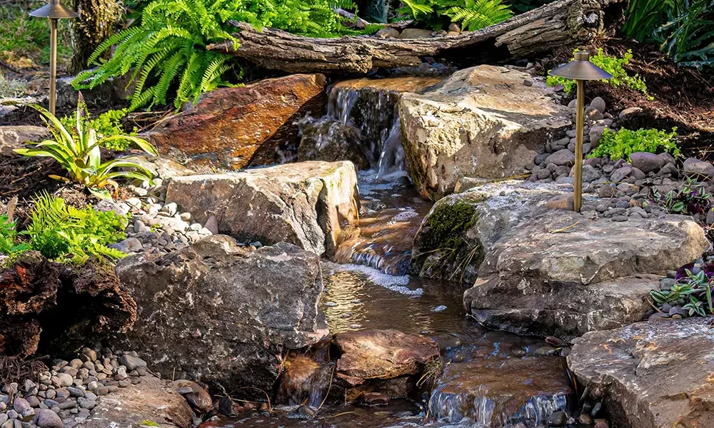 benefit-pond-building