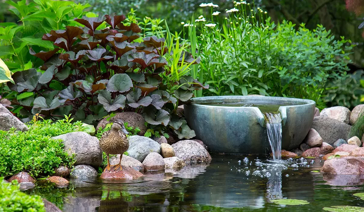 Elegant garden pond with waterfall feature and lush greenery, ideal for a natural outdoor space.
